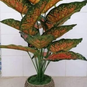 Plante-artificielle-PL2-tunisie