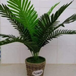 Plante-artificielle-PL3-tunisie