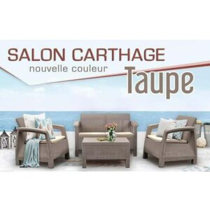 salon-jardin-carthage-4-places-rotin-moderne-tunisie-min
