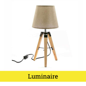 Luminaire