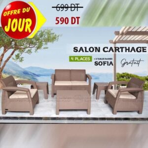 salon-jardin-carthage-couleur-taupe-tunisie