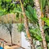 decoration-mur-exterieur-jardin-balcon-tunisie-bois-moderne-bas-prix